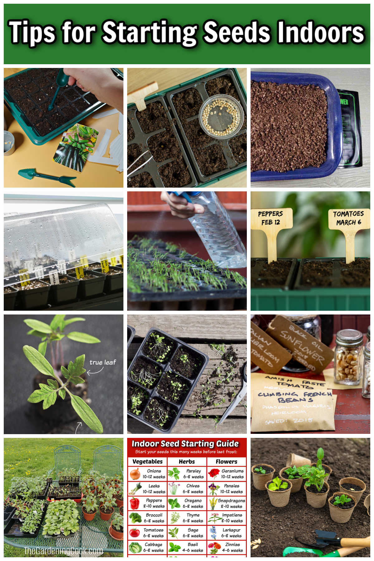 Tips for Starting Seeds Indoors Tips for starting seeds indoors, including planting, watering, thinning, hardening off and transplanting outdoors.