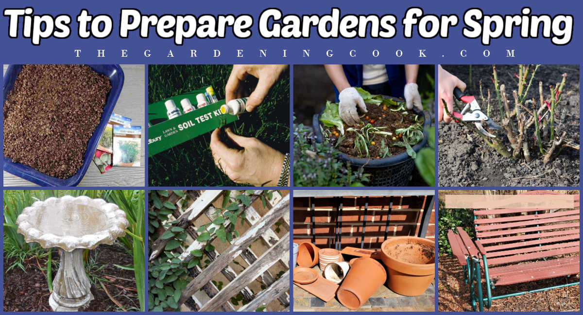Pictures showing 8 ways to prepare garden for spring, including starting seeds, soil testing, making compost, pruning roses, cleaning birdbaths, painting trellises, cleaning pots and mending garden furniture.