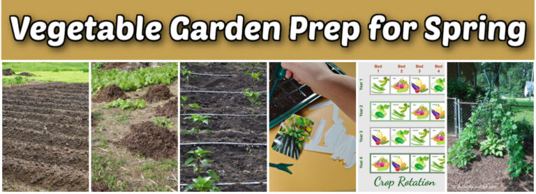 How to Prepare Your Garden for Spring )Checklist & 25+Tasks)