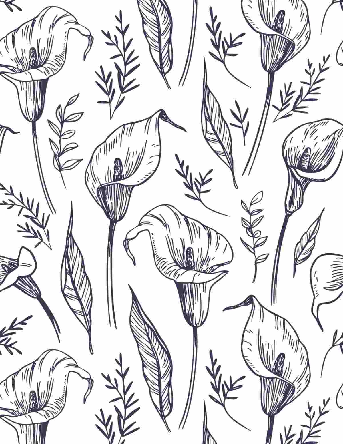 A calla lily coloring pages printable with several calla lily stems and leaves filling the entire coloring sheet.