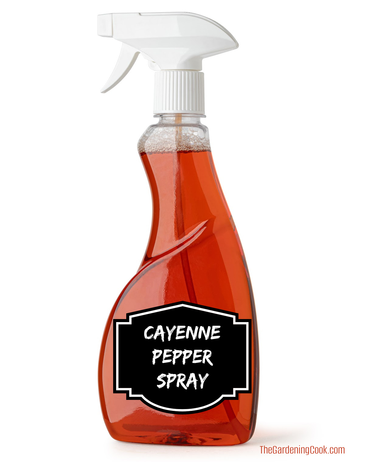 Cayenne pepper spray in a clear bottle, used to keep squirrels away.