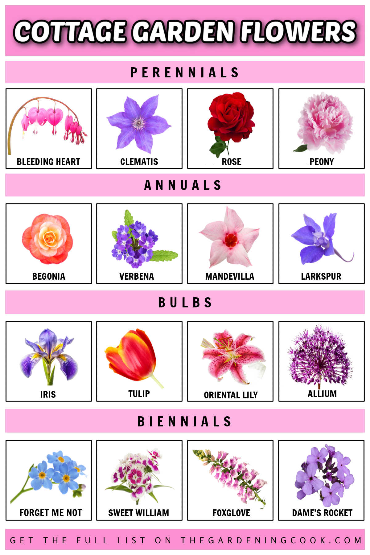 A list of cottage garden flowers in jpg format with pictures and names below the images.