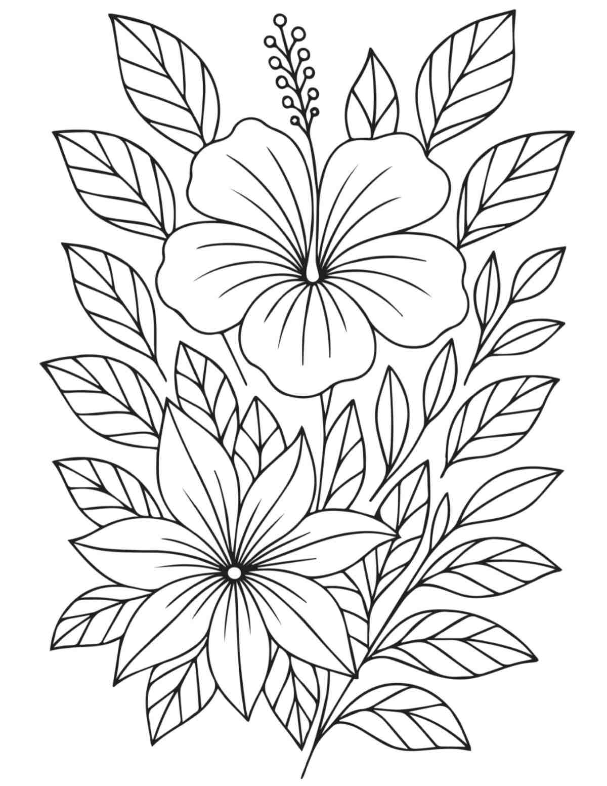 A flower coloring pages printable featuring two tropical hibiscus flowers and foliage in the center of the coloring sheet.