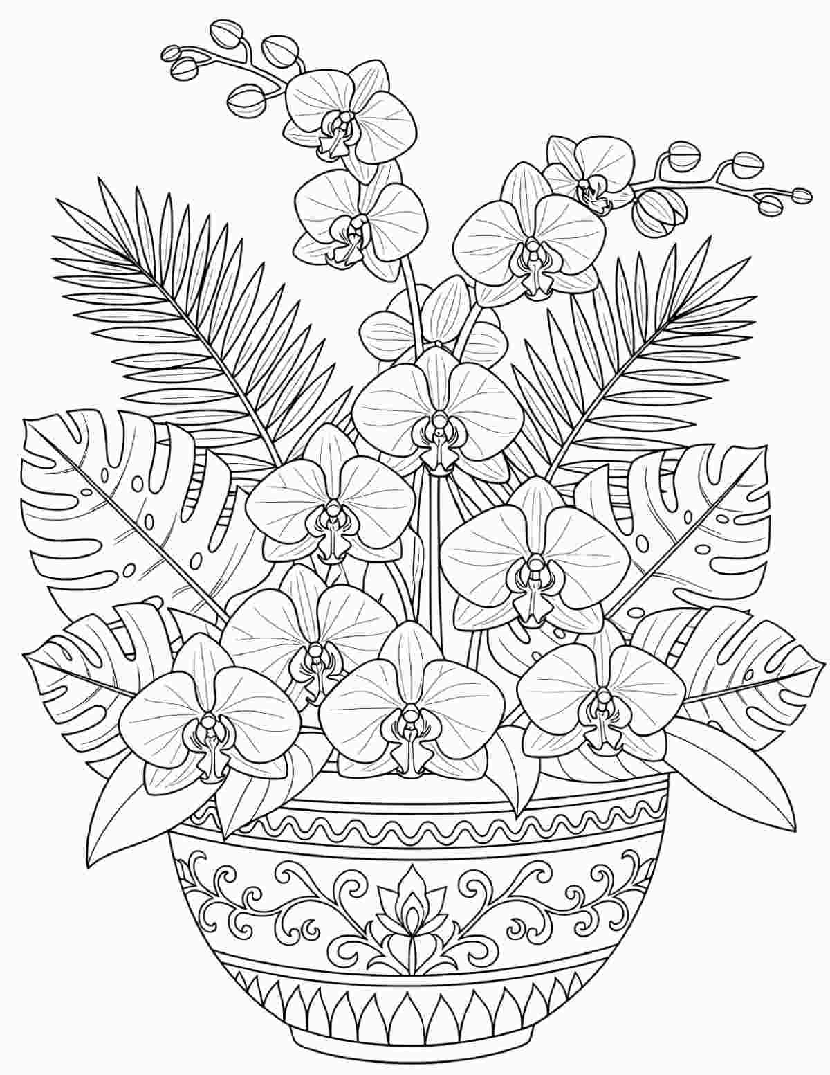 An orchids coloring pages printable featuring an orchid and various tropical foliage in a vase with geometric designs on it.