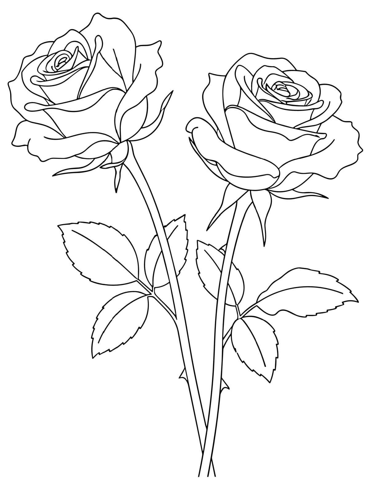 A free rose coloring pages printable featuring two stems of roses with leaves on them in the center of the coloring sheet.