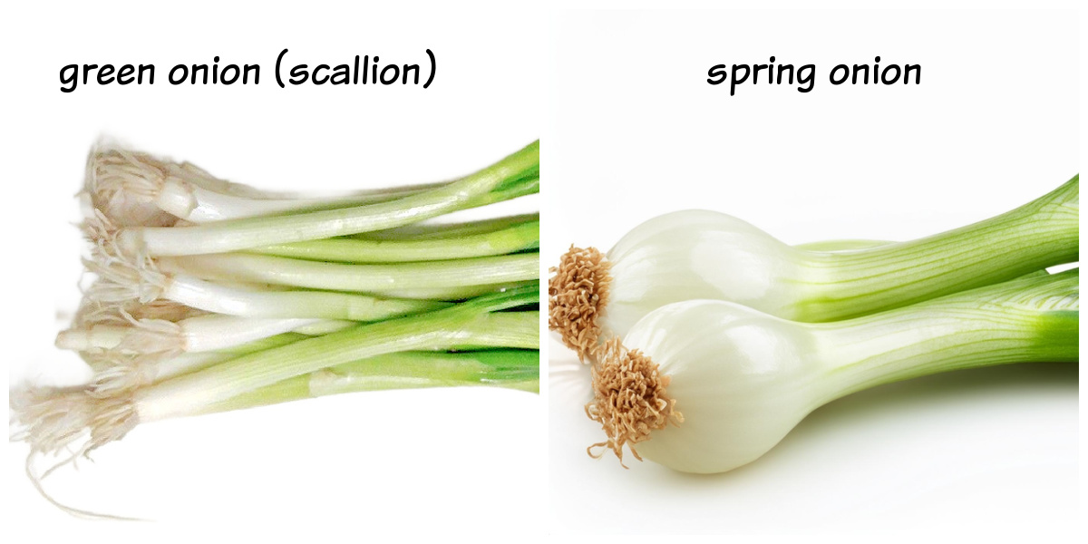 Pictures of green onions (scallions) vs spring onions, showing the difference in bulb size.