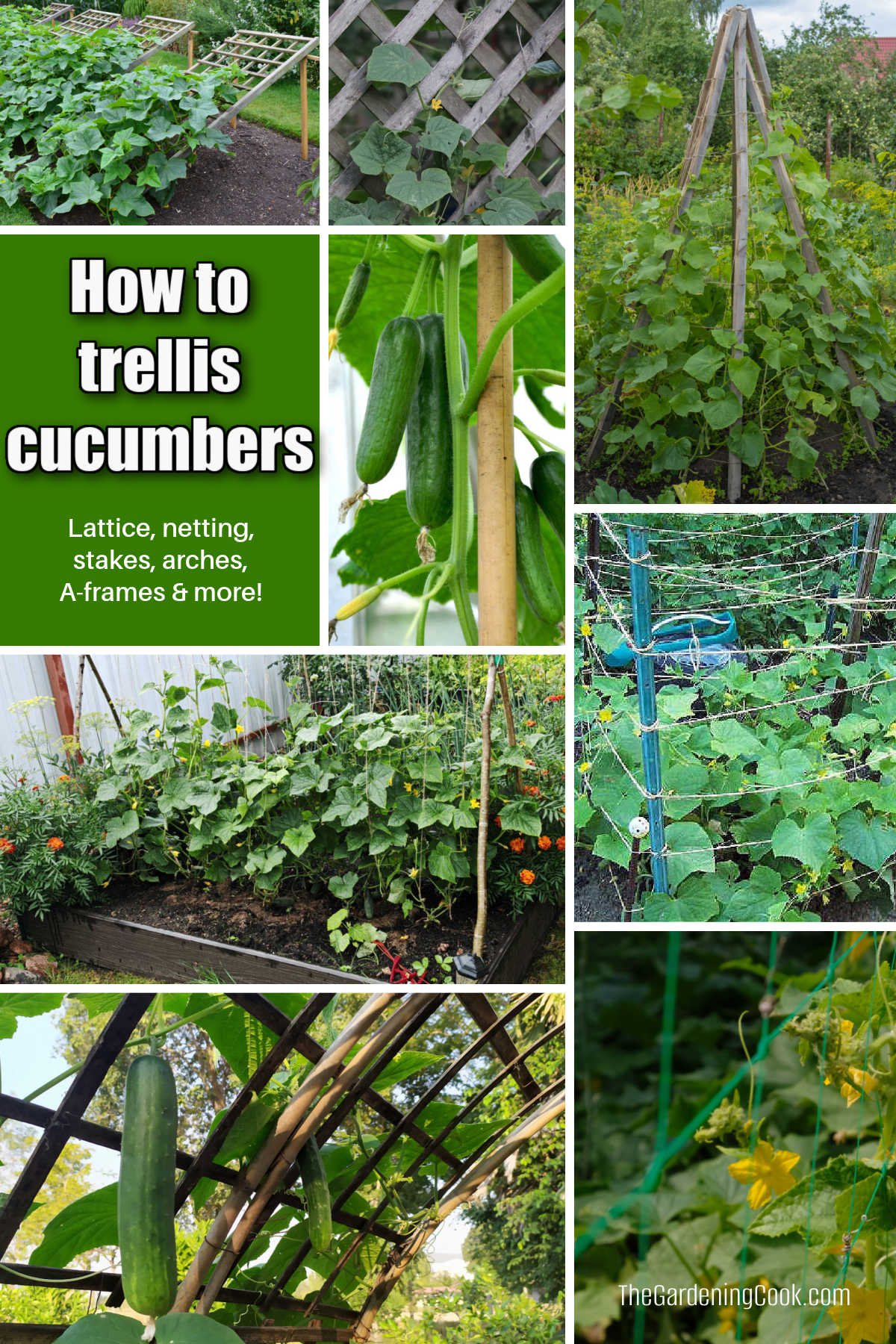 How to trellis cucumbers with these 8 easy ideas.