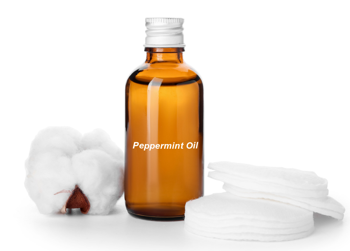 Peppermint oil in a bottle next to some cotton balls and cotton pads.