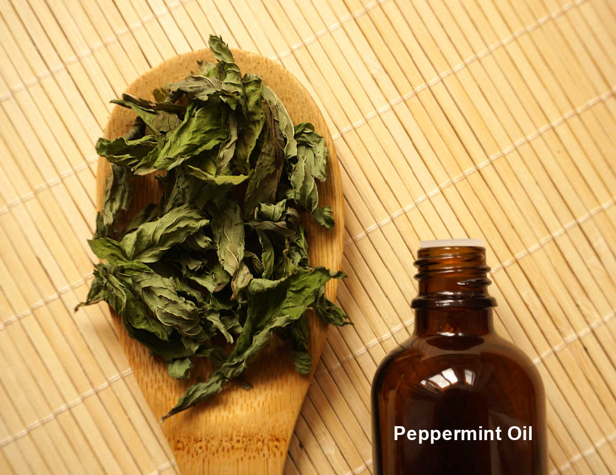 Peppermint leaves in a spoon next to a bottle of peppermint oil.