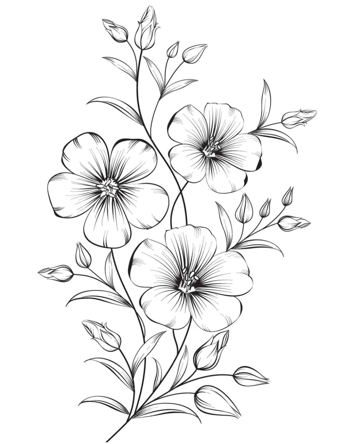 A printable flower coloring page free image featuring a floral stem with three flowers and lots of leaves.
