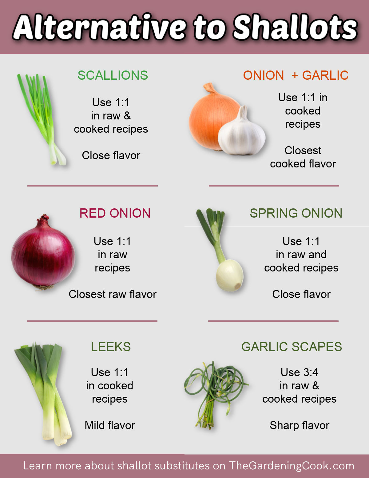 A printable showing different alliums and how they can be used to replace shallots in recipes.