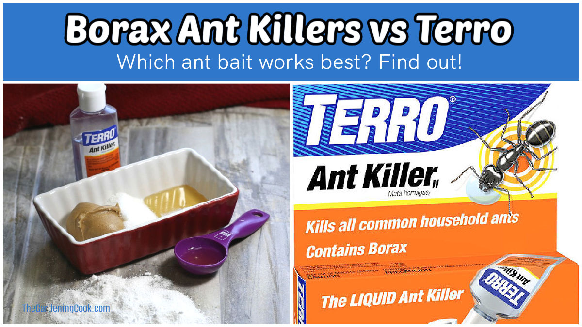A collage showing the ingredients in Borax ant killers vs Terro liquid ant killer to find out which one worked best.
