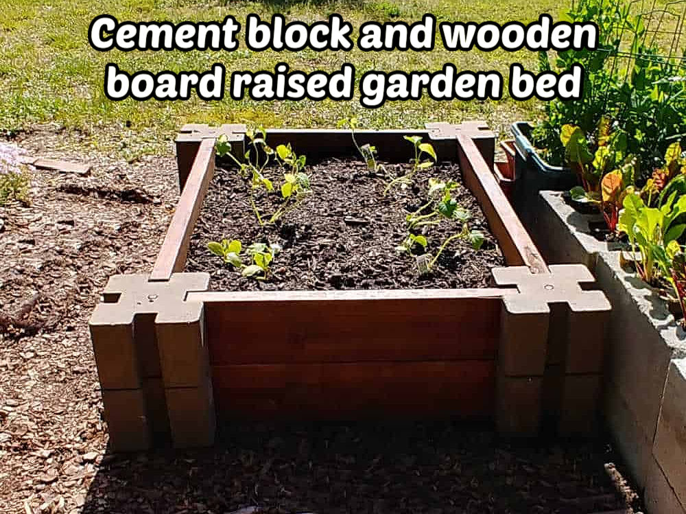 Cement planter block and wooden board raised garden bed DIY project.