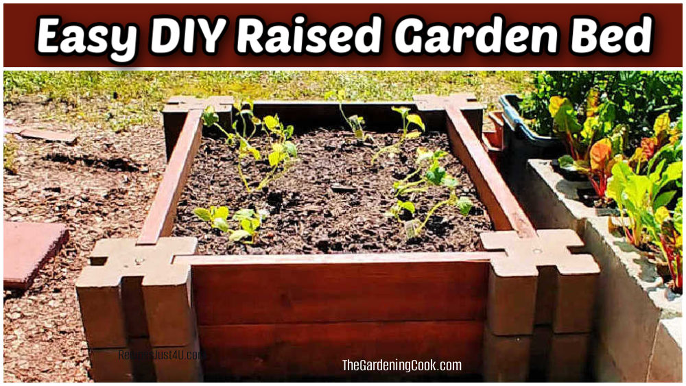 An easy DIY raised garden bed made from concrete planter wall blocks and wooden boards.