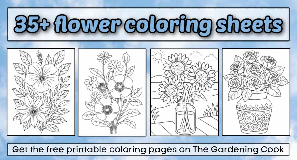 A collage of four free printable flower coloring sheets under a text overlay that says 35+ flower coloring sheets.