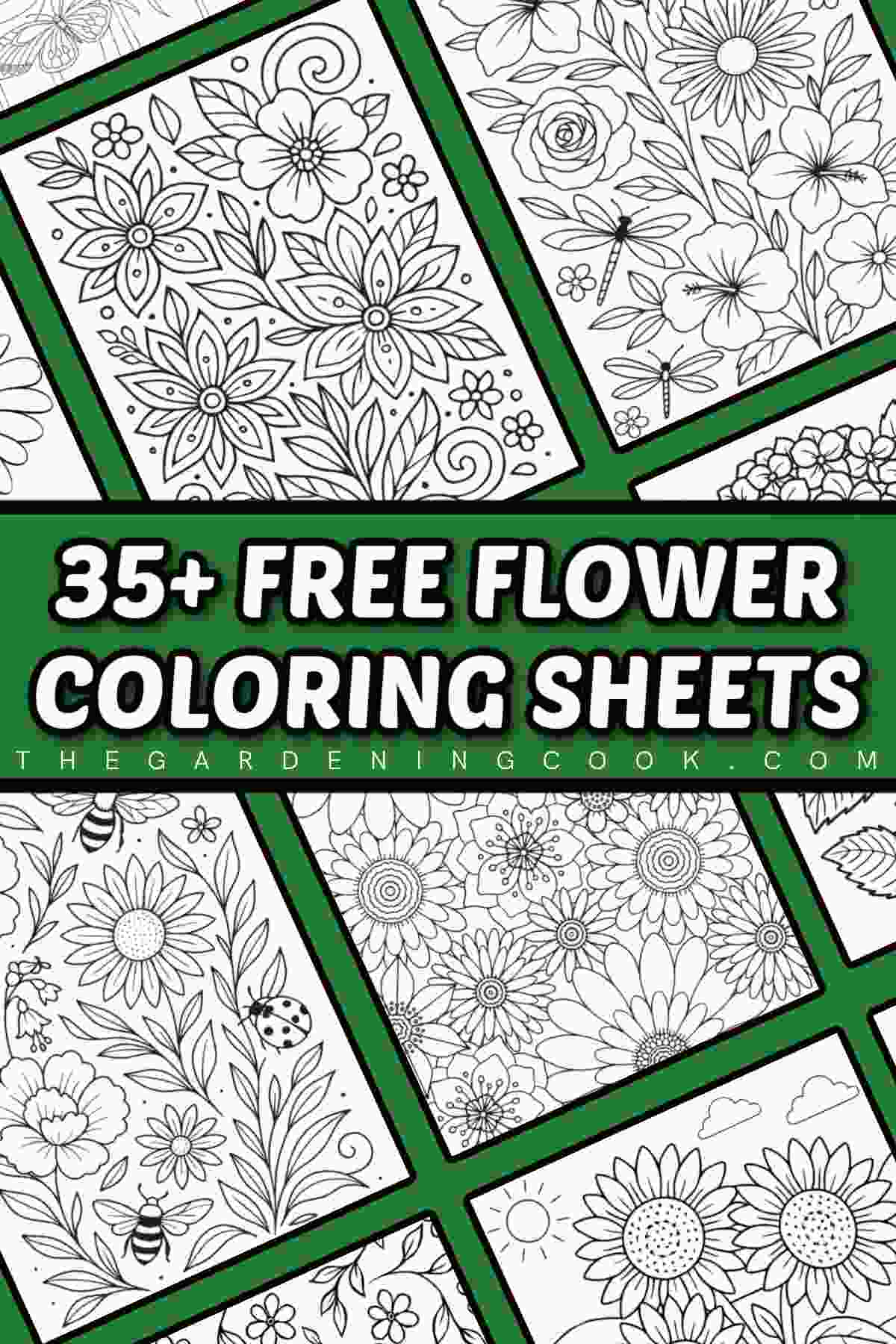 A collage of nine free printable flower coloring pages, under a text overlay that says 35+ free flower coloring sheets.