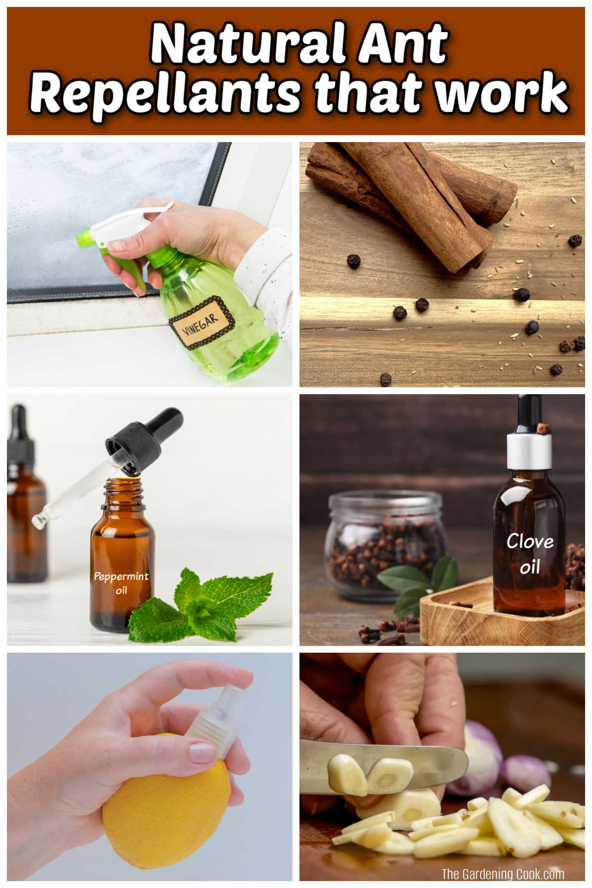 A collage with pictures of natural ant repellents that work.