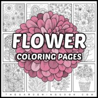 A text overlay that says flower coloring pages on top of a pink flower that's in the center of a collage of twelve flower coloring sheets.