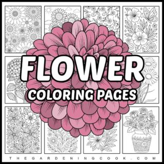 A text overlay that says flower coloring pages on top of a pink flower that's in the center of a collage of twelve flower coloring sheets.