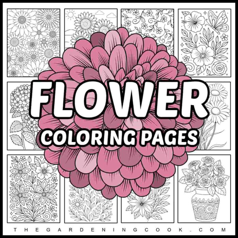 A text overlay that says flower coloring pages on top of a pink flower that's in the center of a collage of twelve flower coloring sheets.