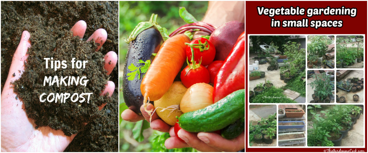 Related gardening guides, including making compost, beginner vegetables to grow, and vegetable gardening in small spaces.
