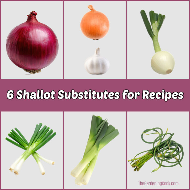 Shallot Substitutes – Best Replacements for Shallots in Recipes