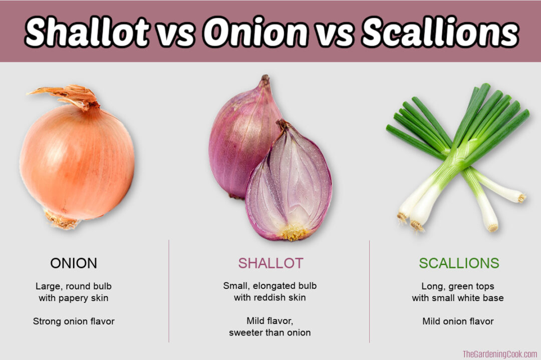 Shallot Substitute Ideas: Best Replacements for Shallots