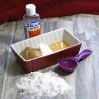 Peanut butter, honey, confectioners sugar, granulated sugar and Borax next to a bottle of Terro ant killer.