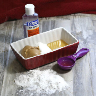 Peanut butter, honey, confectioners sugar, granulated sugar and Borax next to a bottle of Terro ant killer.