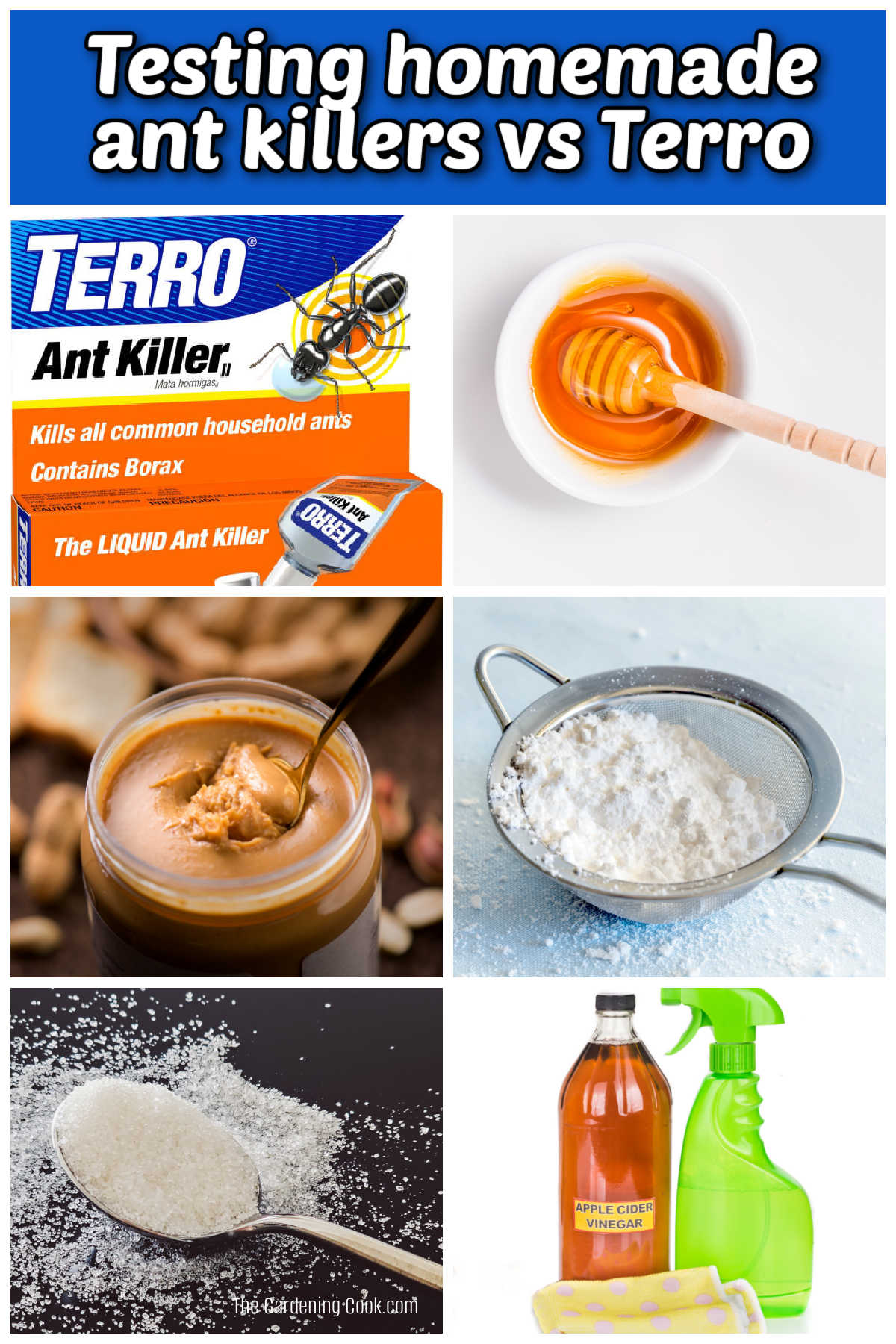 Testing honey, peanut butter, powdered sugar, granultated sugar and vinegar against Terro ant killer.