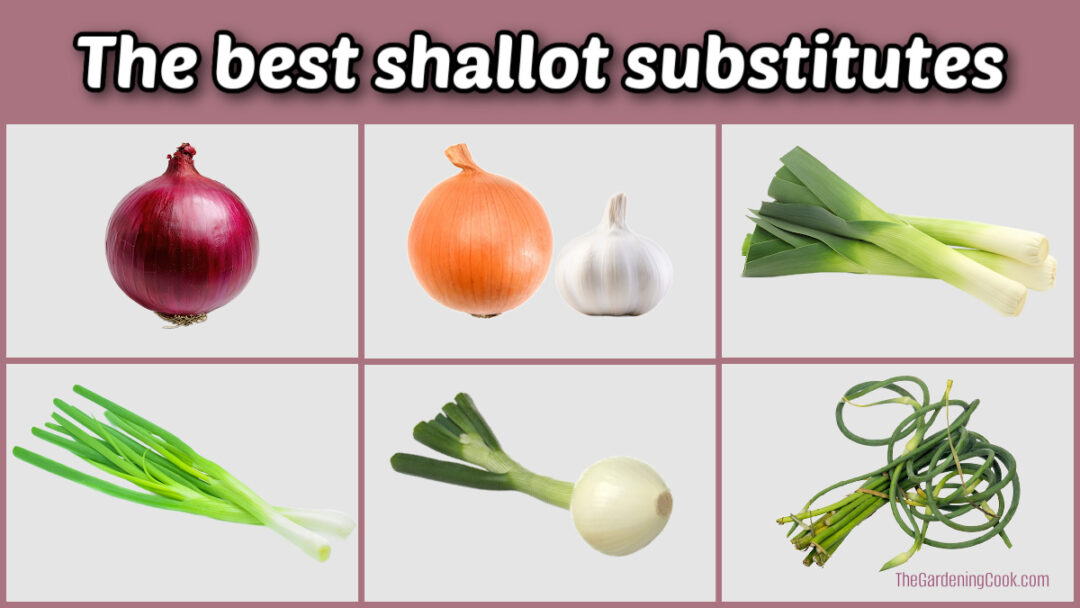 Shallot Substitute Ideas: Best Replacements for Shallots