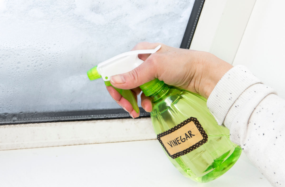 A woman spraying a windowsill with vinegar ant repellent.