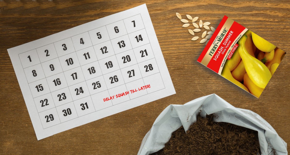 Seeds, calendar and a note to delay squash until later.