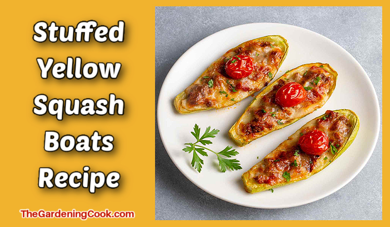Stuffed yellow squash boats recipe on a white plate.