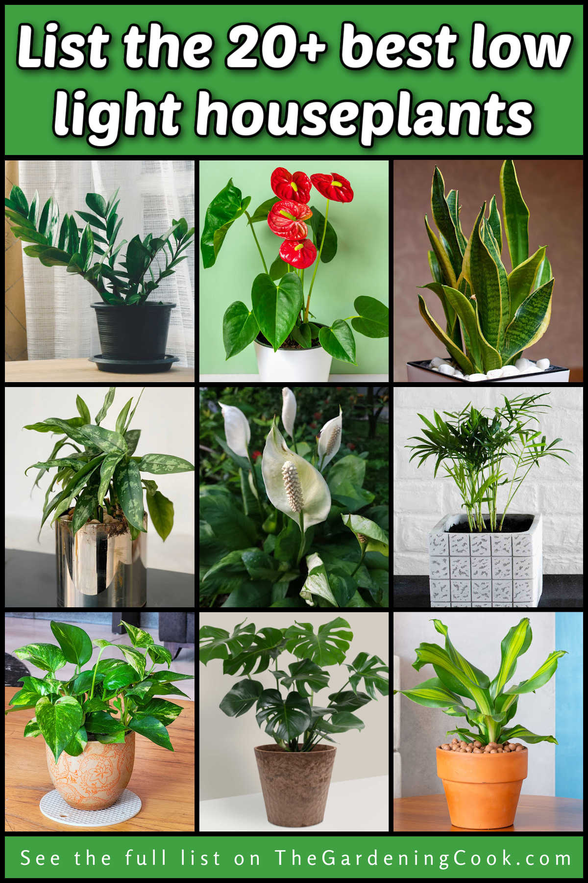 List of the Best Low Light Houseplants to Grow Indoors Pictures of several of the best low light houseplants.