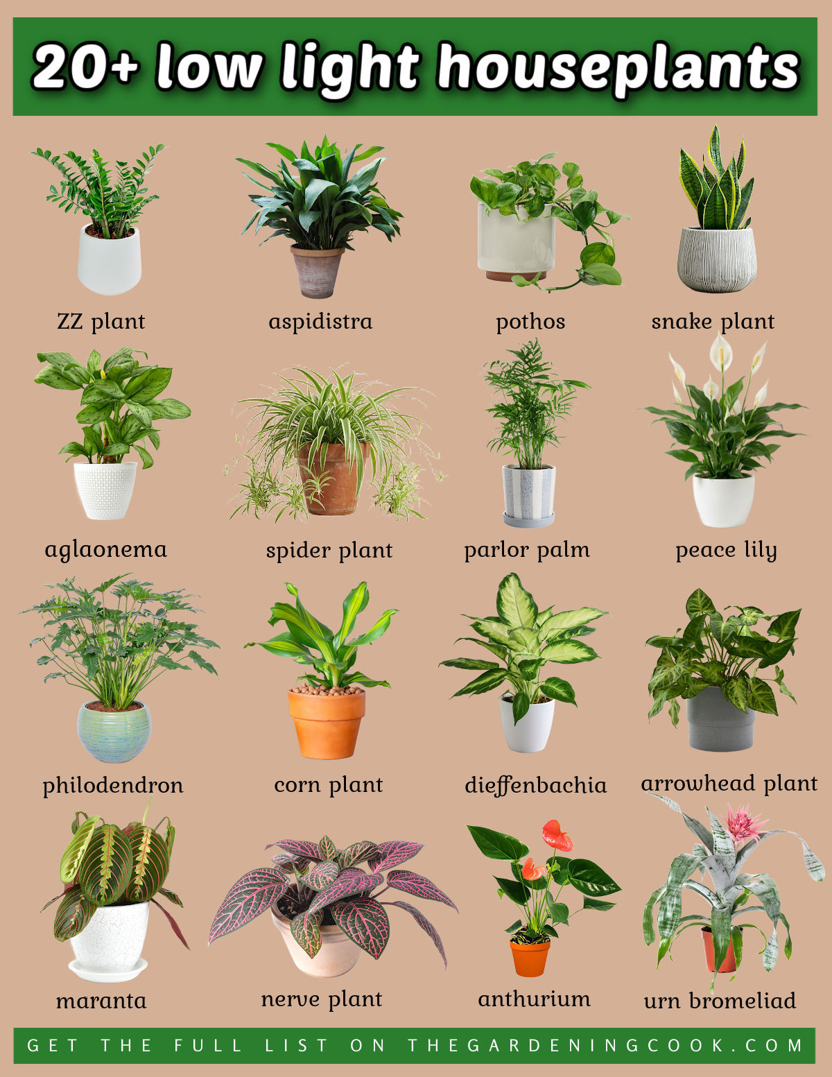 20+ Low Light Houseplants to Grow Indoors Pictures and names of low light houseplants in rows.
