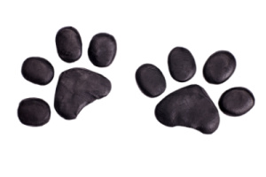 Two black paw prints on a white background.