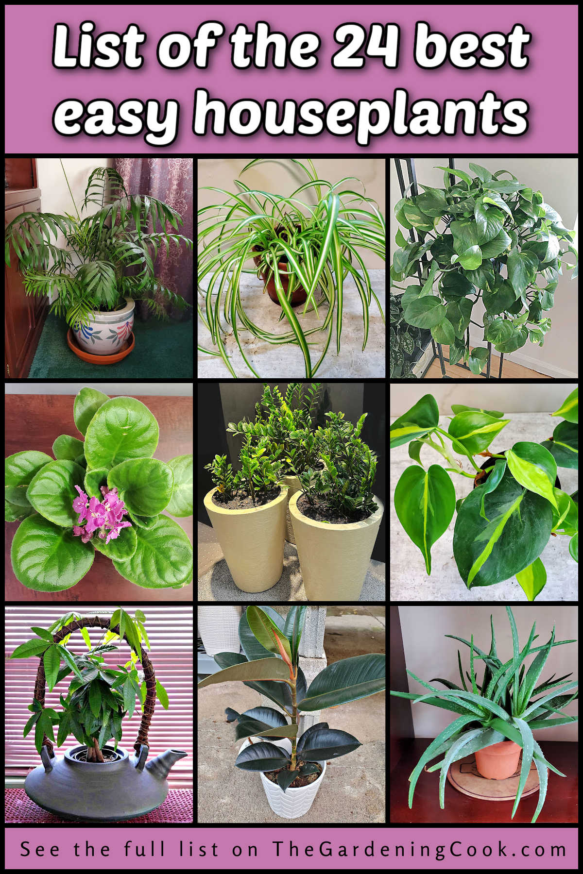Pictures of beginner indoor plants with text reading List of the 24 best easy houseplants.