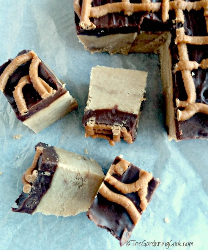 An overhead shot of one of the best Christmas fudge ideas: peanut butter drizzled Reese's fudge!