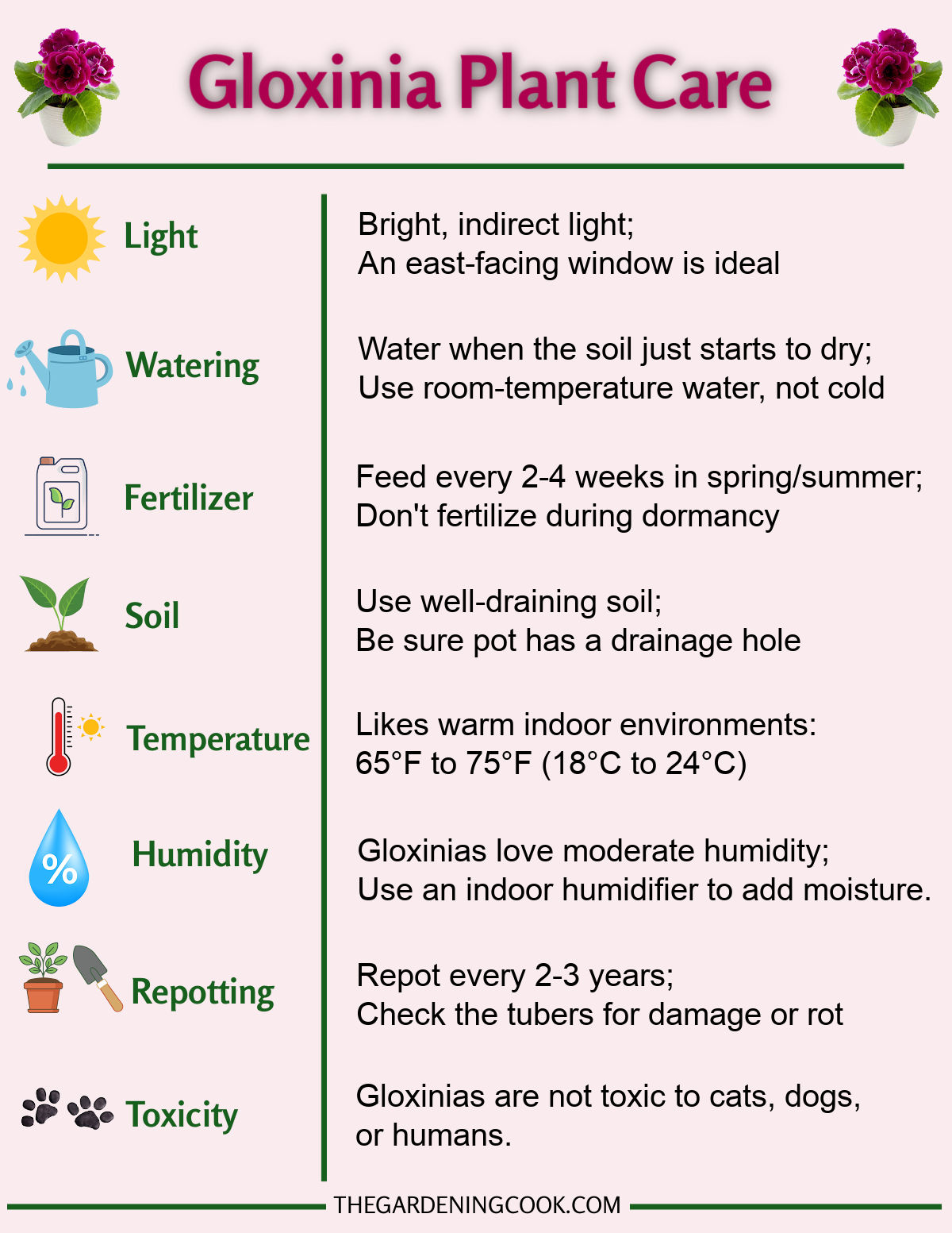 Gloxinia Plant Care Guide Printable A gloxinia plant care printable with small gardening icons and plant care tips.