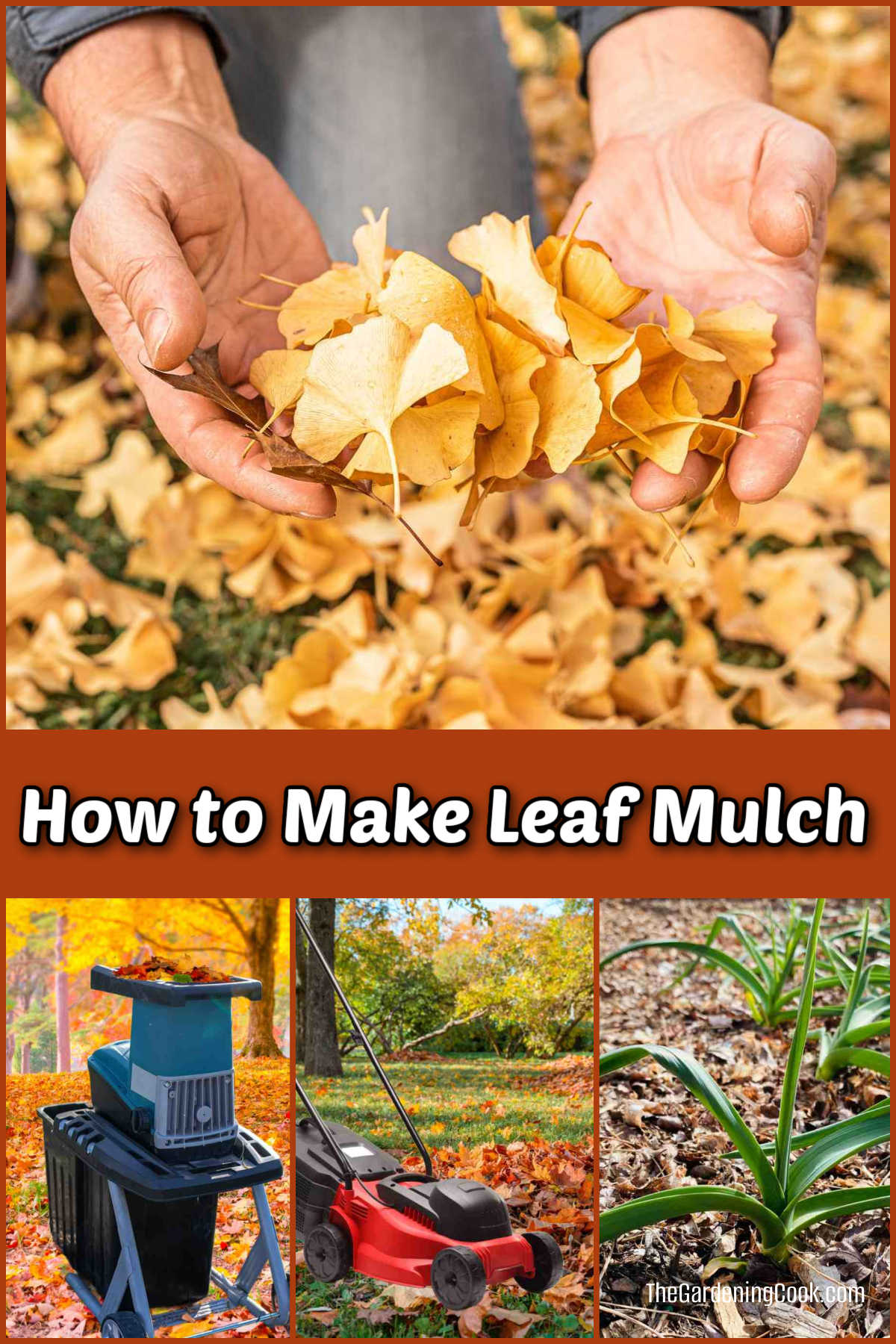 How to Make Leaf Mulch How to Make Leaf Mulch with fallen leaves in autumn.