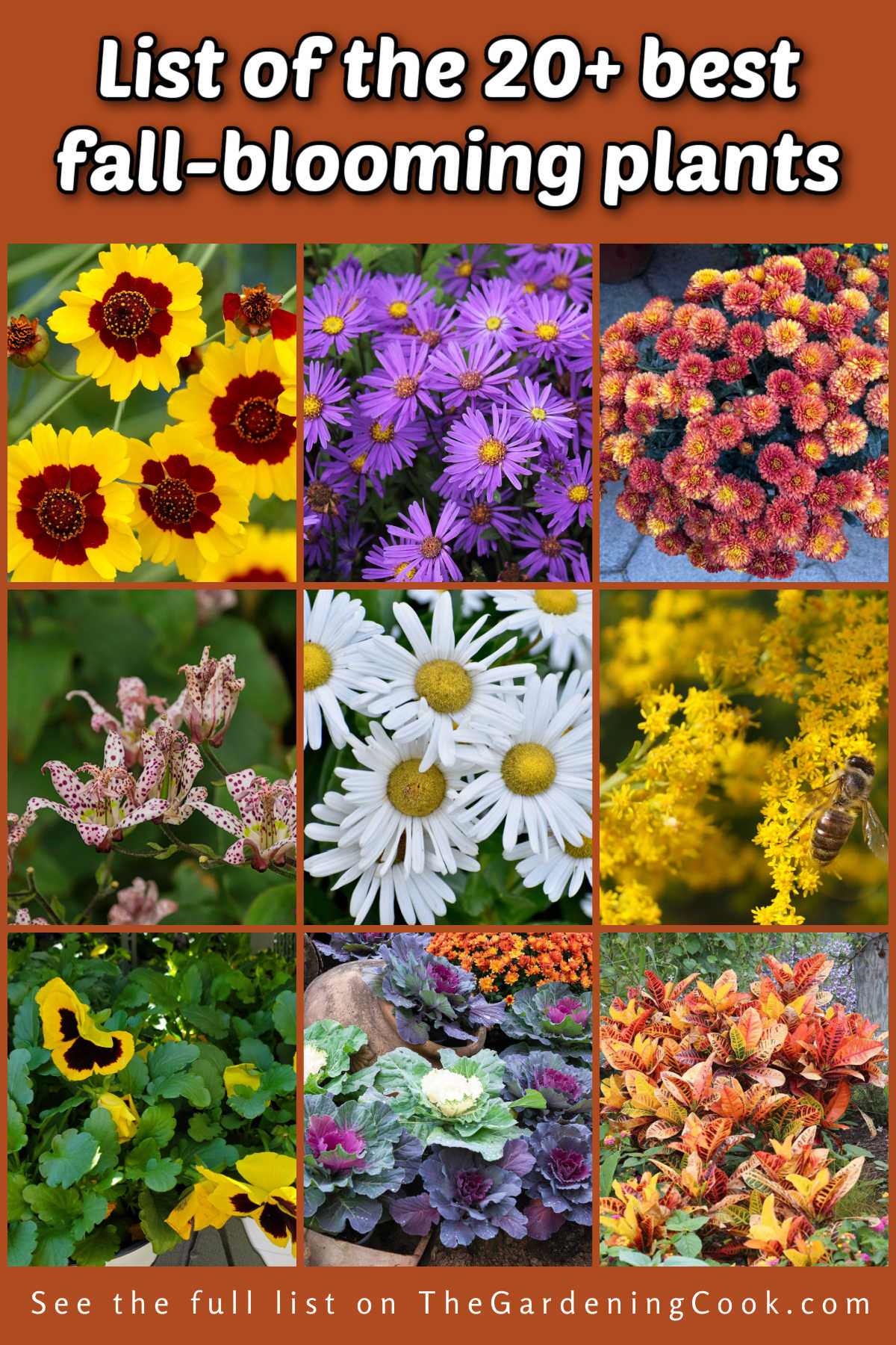 Pictures of perennials, annuals and foliage plants that provide late-season color in your garden. Text reads List of 20+ best fall blooming plants.